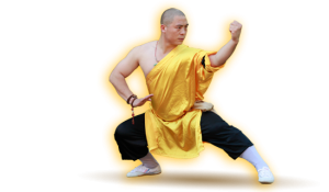 Shaolin kung fu